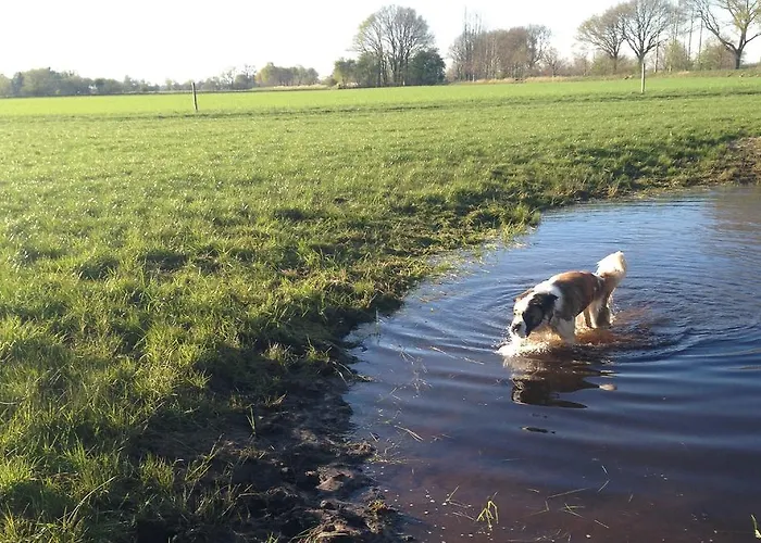 Gaestehaus Hoepkens Ruh Brema